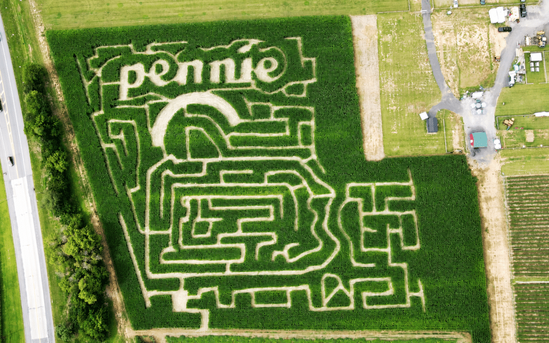 Pennie Helps Lehigh Valley Navigate Health Insurance